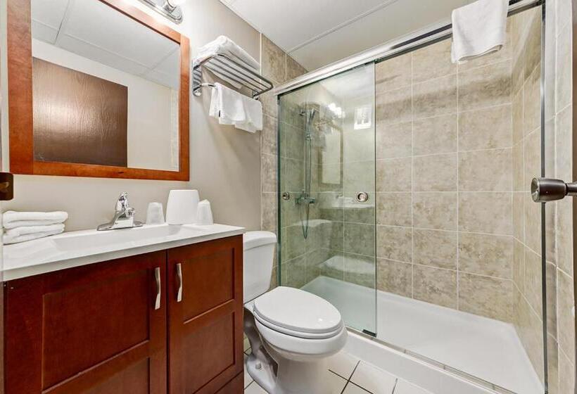 בית מלון כפרי Airport Traveller S Inn