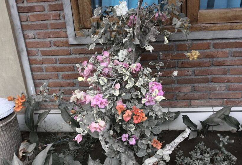 酒店 Baleku Senggigi