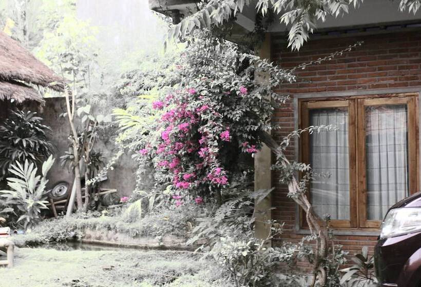 酒店 Baleku Senggigi