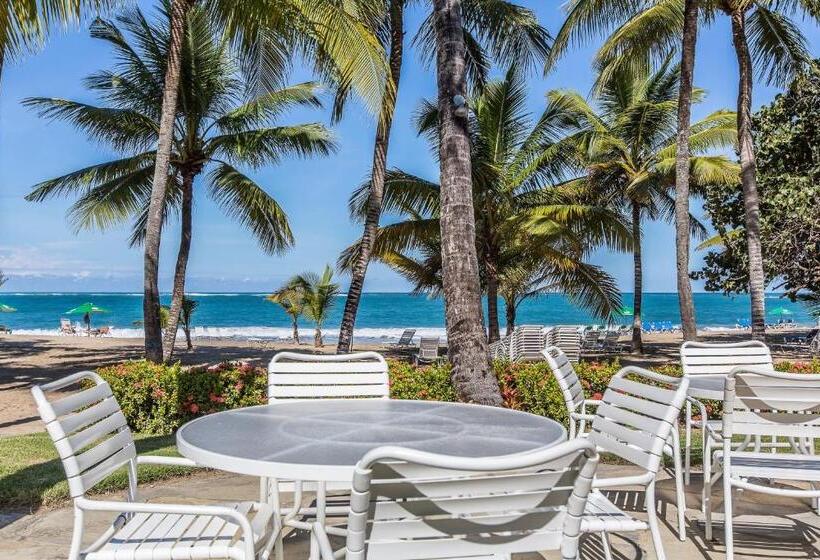 فندق Cabarete Palm Beach Condos