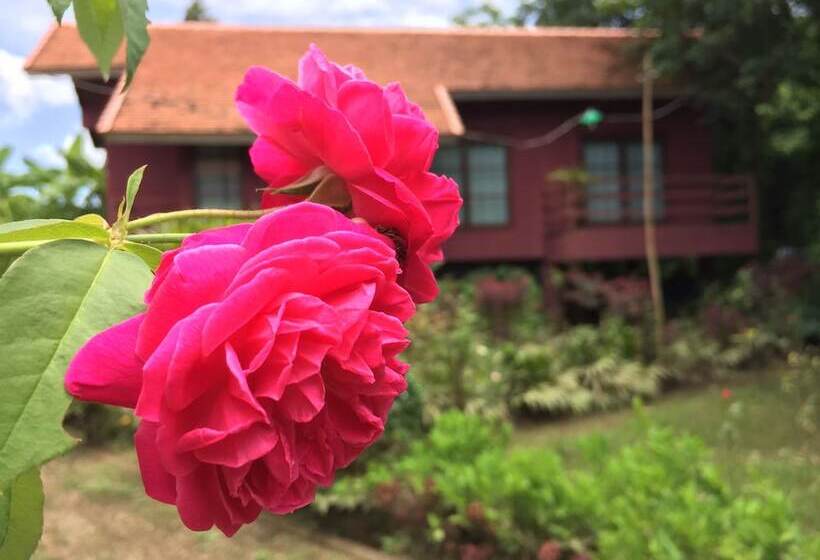 Отель Chiangmai Royal Creek