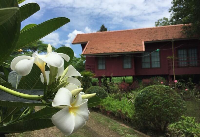 Отель Chiangmai Royal Creek