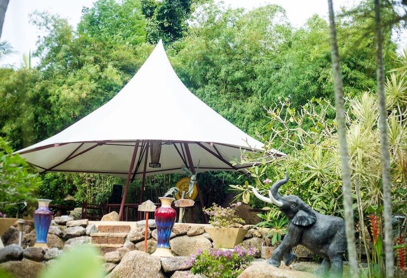 בית מלון כפרי Coco Palace Resort