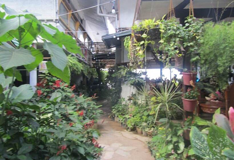 هتل Islandfront Cottages