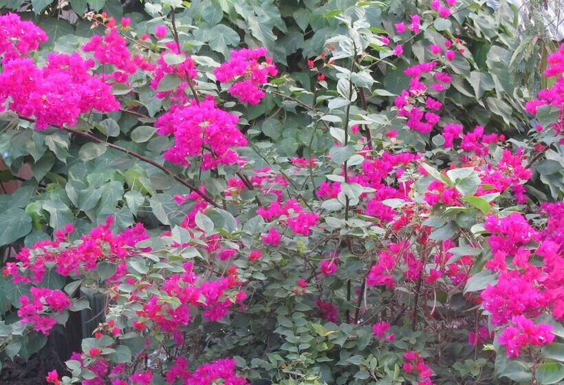 هتل Islandfront Cottages