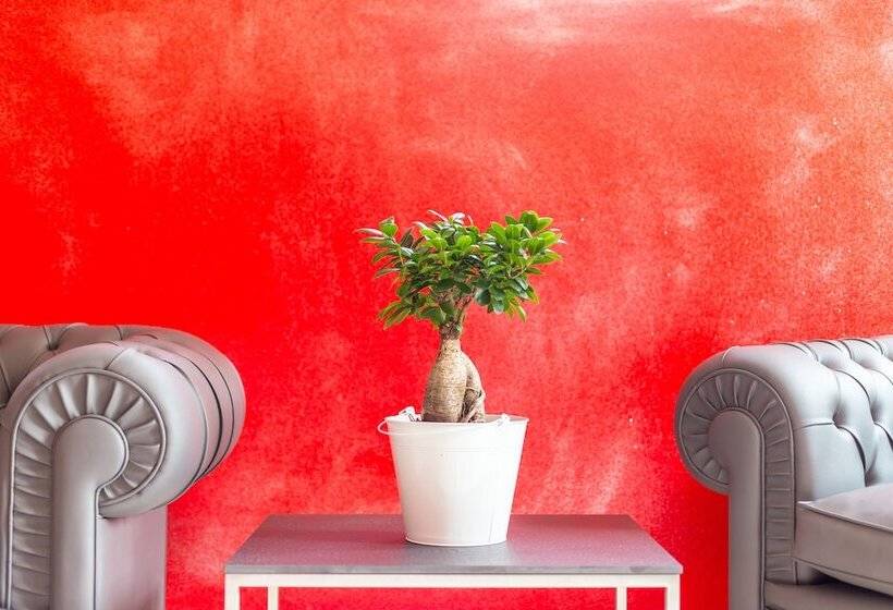 فندق Italia Dormelletto