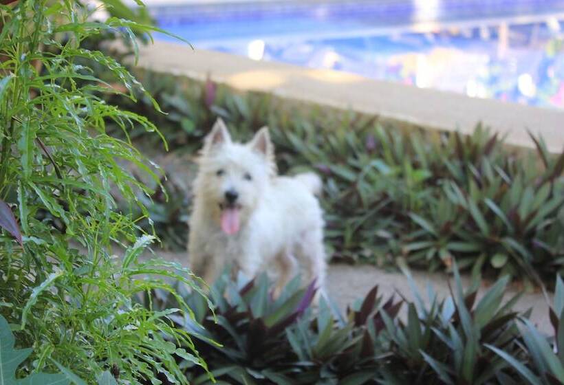 酒店 Jaco Lodge Quiet Place