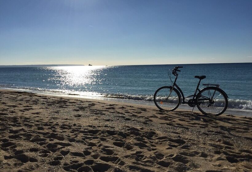 酒店 Jaco Lodge Quiet Place