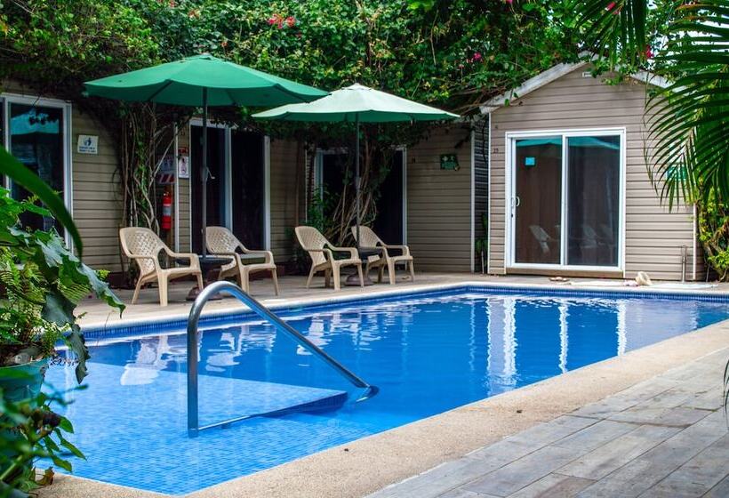 酒店 Jaco Lodge Quiet Place