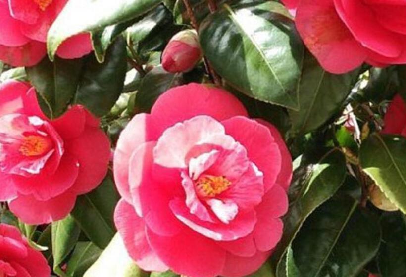 ホテル Kyukamura Kesennuma Ohshima