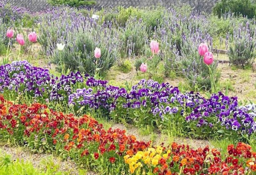 فندق Kyukamura Kishu Kada