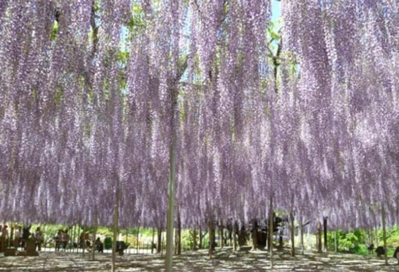 בית מלון כפרי Kyukamura Nasu