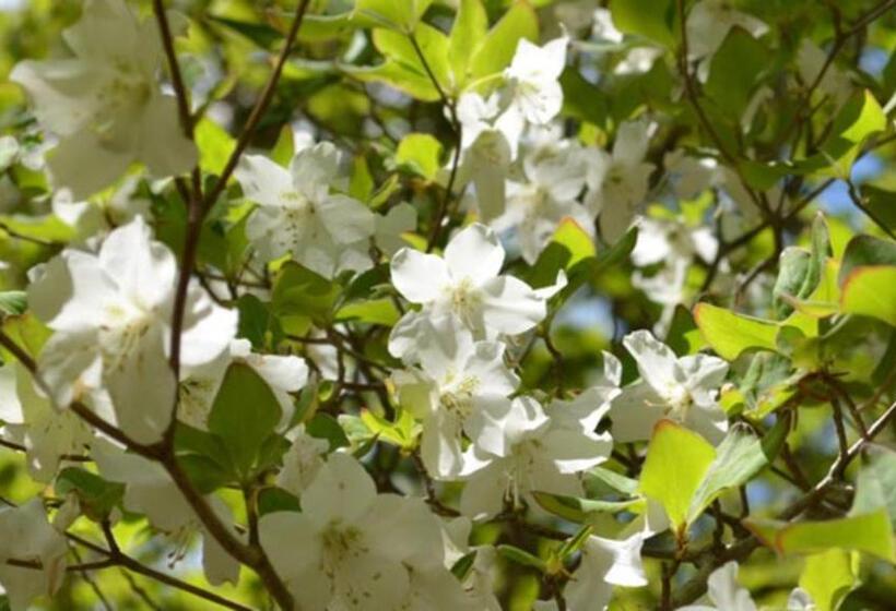 בית מלון כפרי Kyukamura Nasu