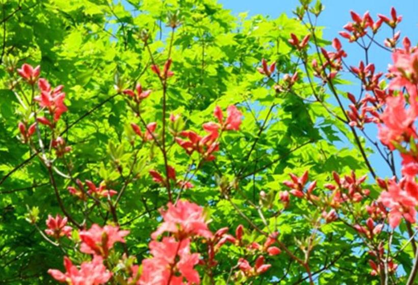 בית מלון כפרי Kyukamura Nasu