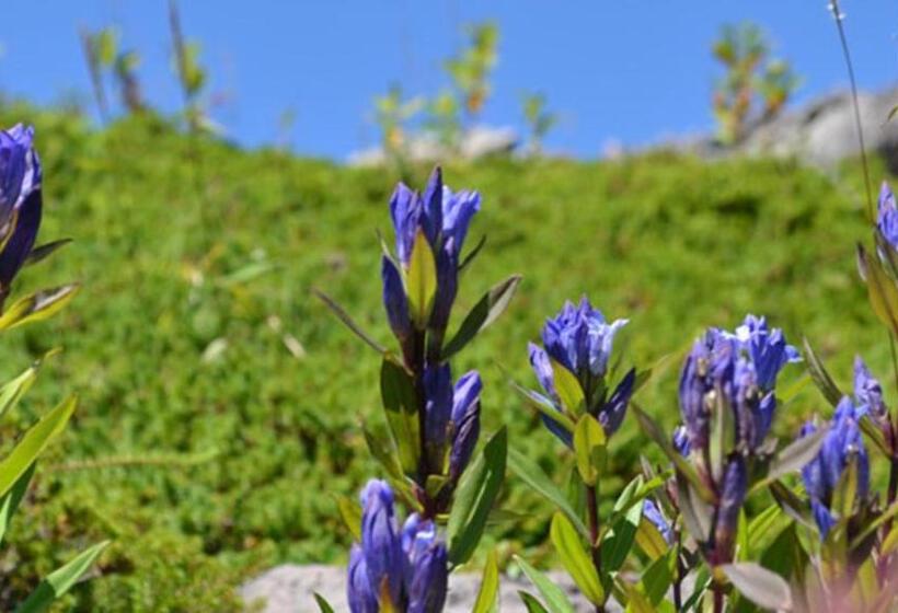 בית מלון כפרי Kyukamura Nasu
