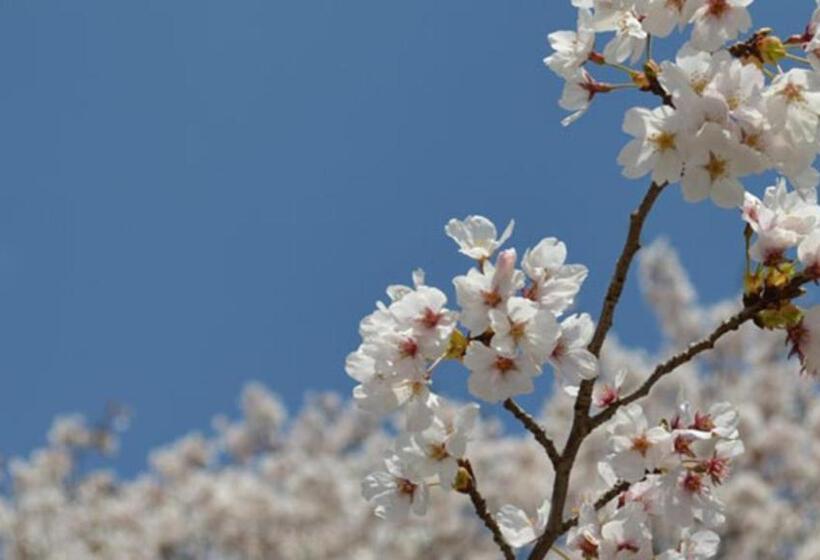בית מלון כפרי Kyukamura Nasu