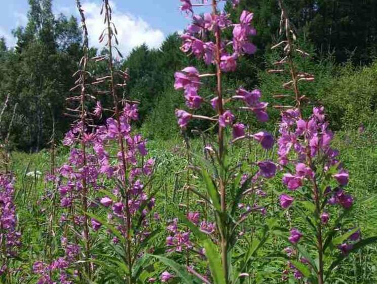 Отель Kyukamura Norikurakogen