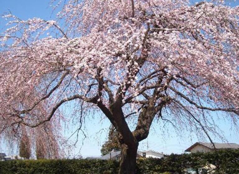 Отель Kyukamura Norikurakogen