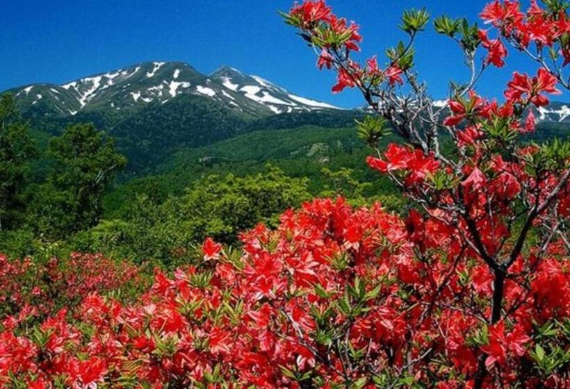 Отель Kyukamura Norikurakogen