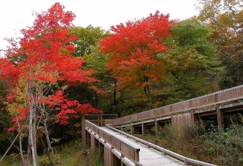 Hotel Kyukamura Tsumagoi Kazawa