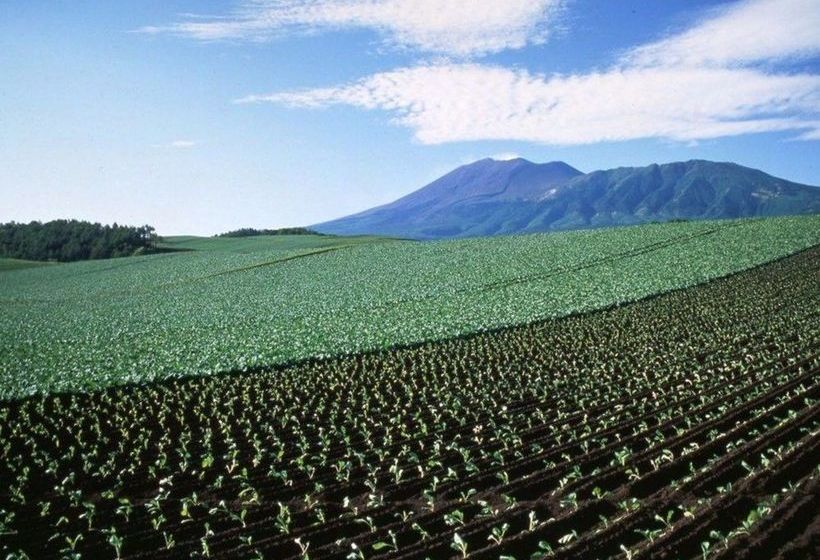 Hotel Kyukamura Tsumagoi Kazawa