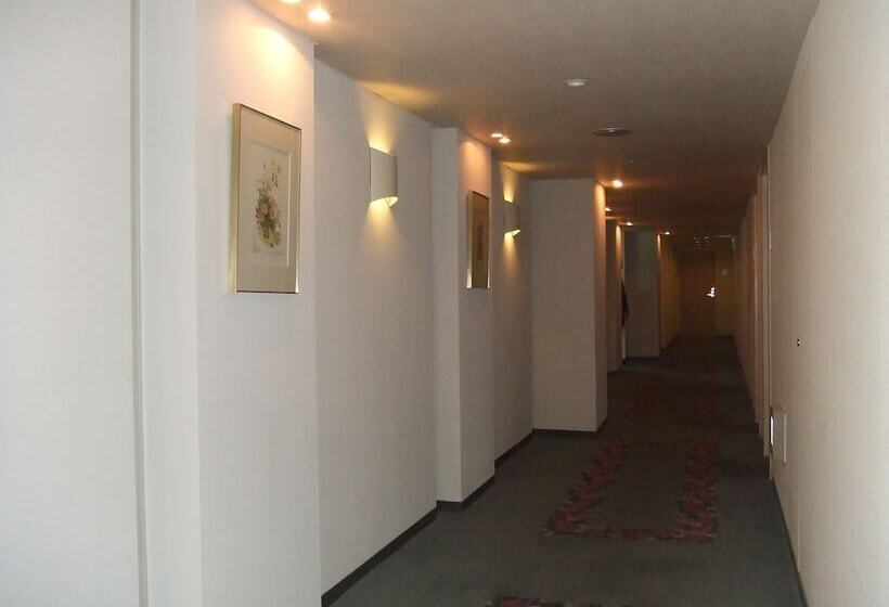 酒店 Lake Alster Alza Izumiotsu