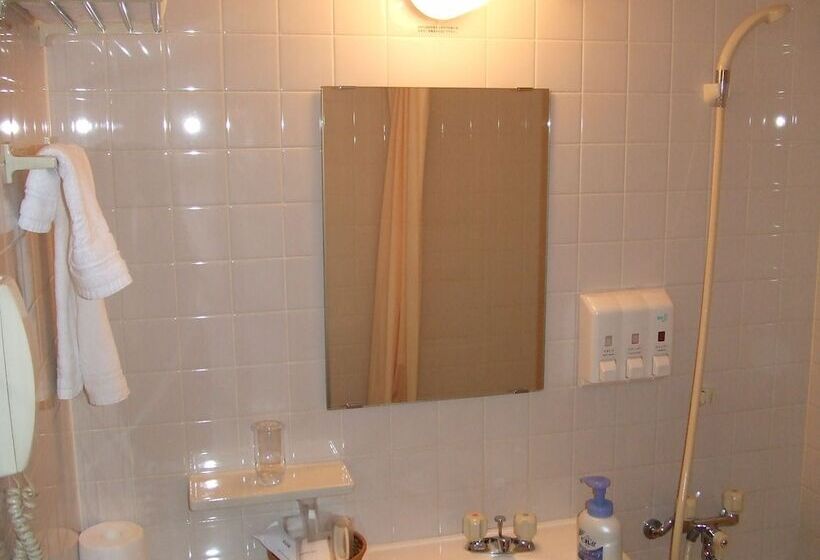 酒店 Lake Alster Alza Izumiotsu