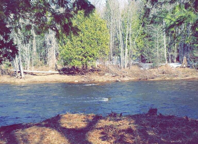 فندق North Ironwood Acres   Black River Lodge