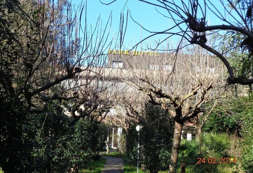Отель Park