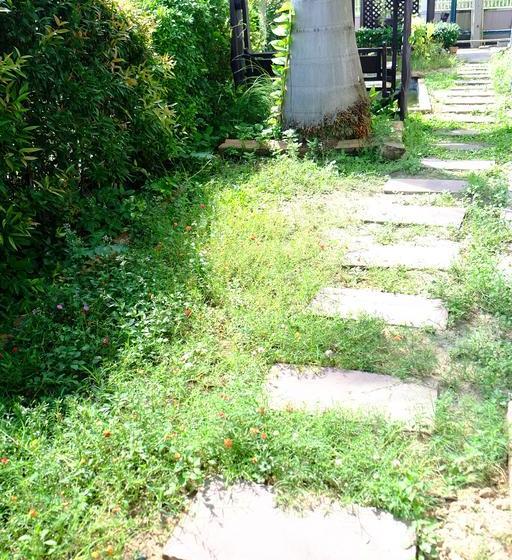 호텔 Studio Khon Kaen By Icheck Inn