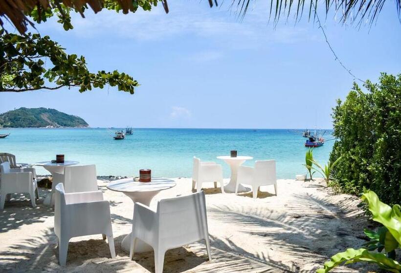 בית מלון כפרי Viva