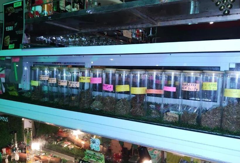 בית מלון כפרי Viva