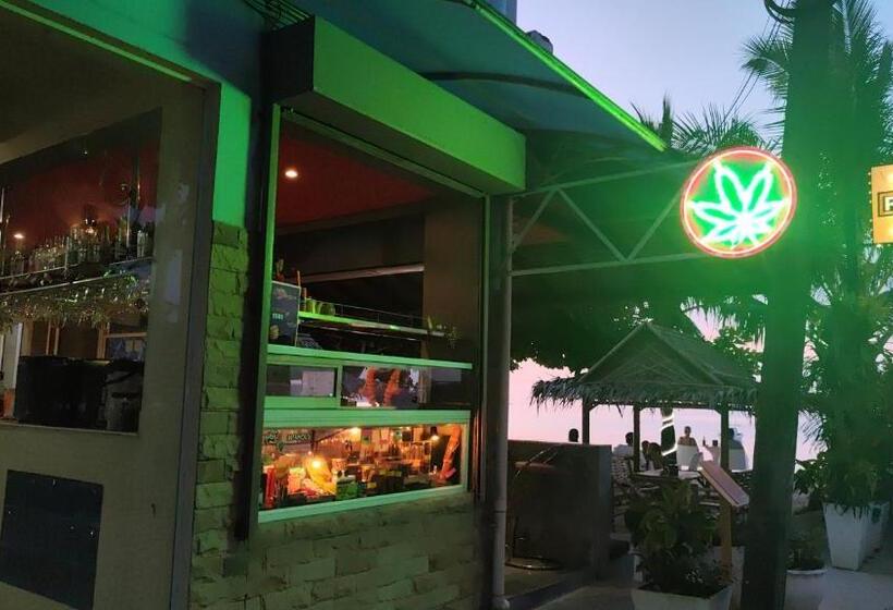 בית מלון כפרי Viva