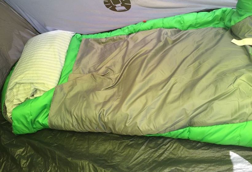 호텔 Yosemite Gold Country Lodge