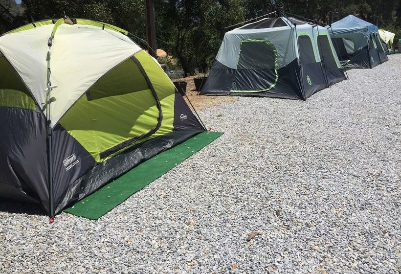 호텔 Yosemite Gold Country Lodge