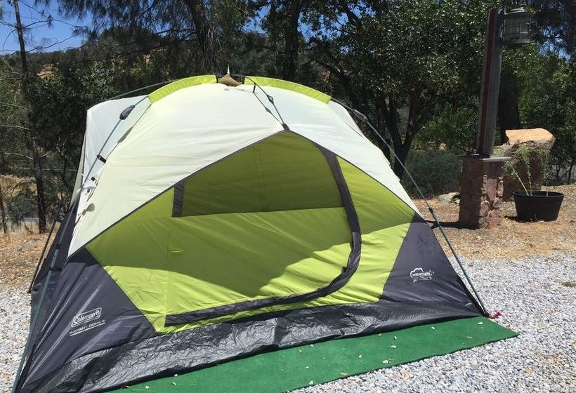 호텔 Yosemite Gold Country Lodge