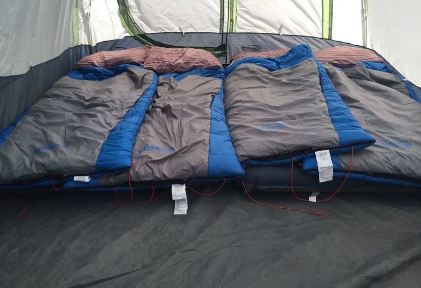 호텔 Yosemite Gold Country Lodge