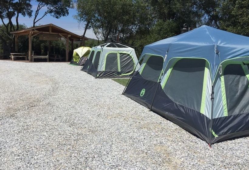 호텔 Yosemite Gold Country Lodge