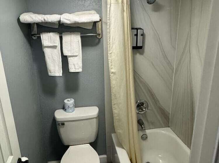 モーテル Midtown Lodge