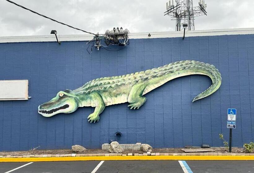 モーテル Midtown Lodge