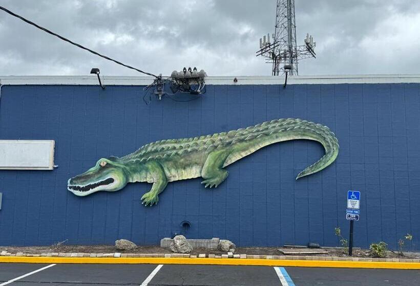 فندق على الطريق Midtown Lodge