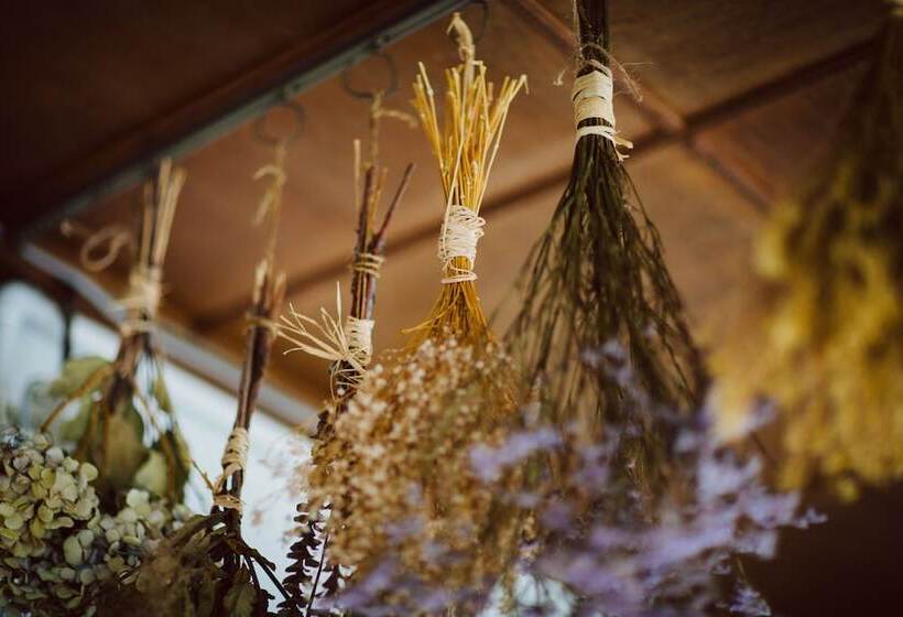 Пансион Osaka Guest House Drummer S Dream Hostel