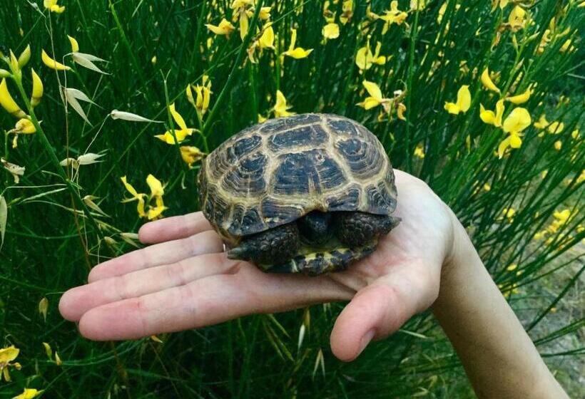 Agriturismo Monaci Templari