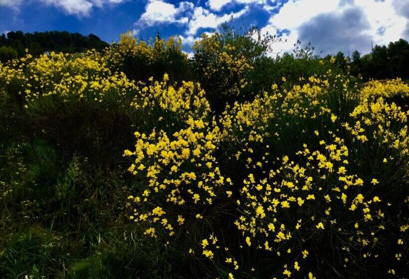 Agriturismo Monaci Templari