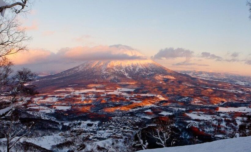 Owashi Lodge   Hostel