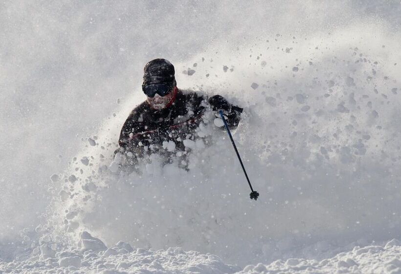 Owashi Lodge   Hostel