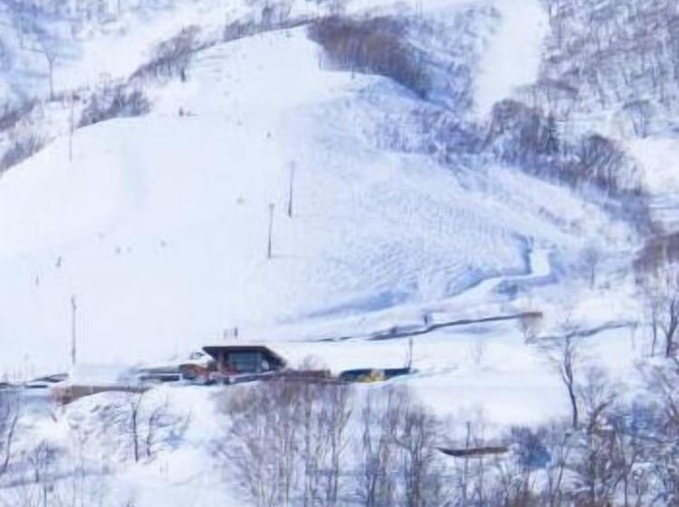 Owashi Lodge   Hostel