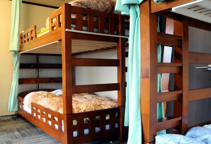 Общежитие Sakura Guest House