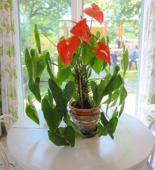 B&b Cadrecca Tra Terra Luna E Mare