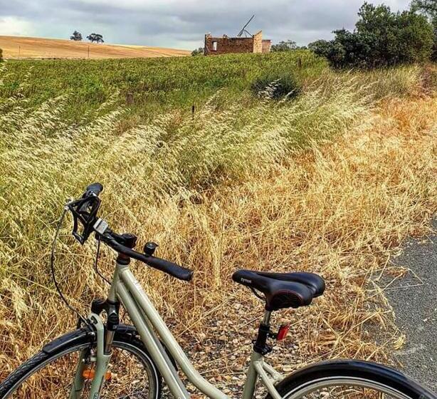 Amy S House Bed & Breakfast